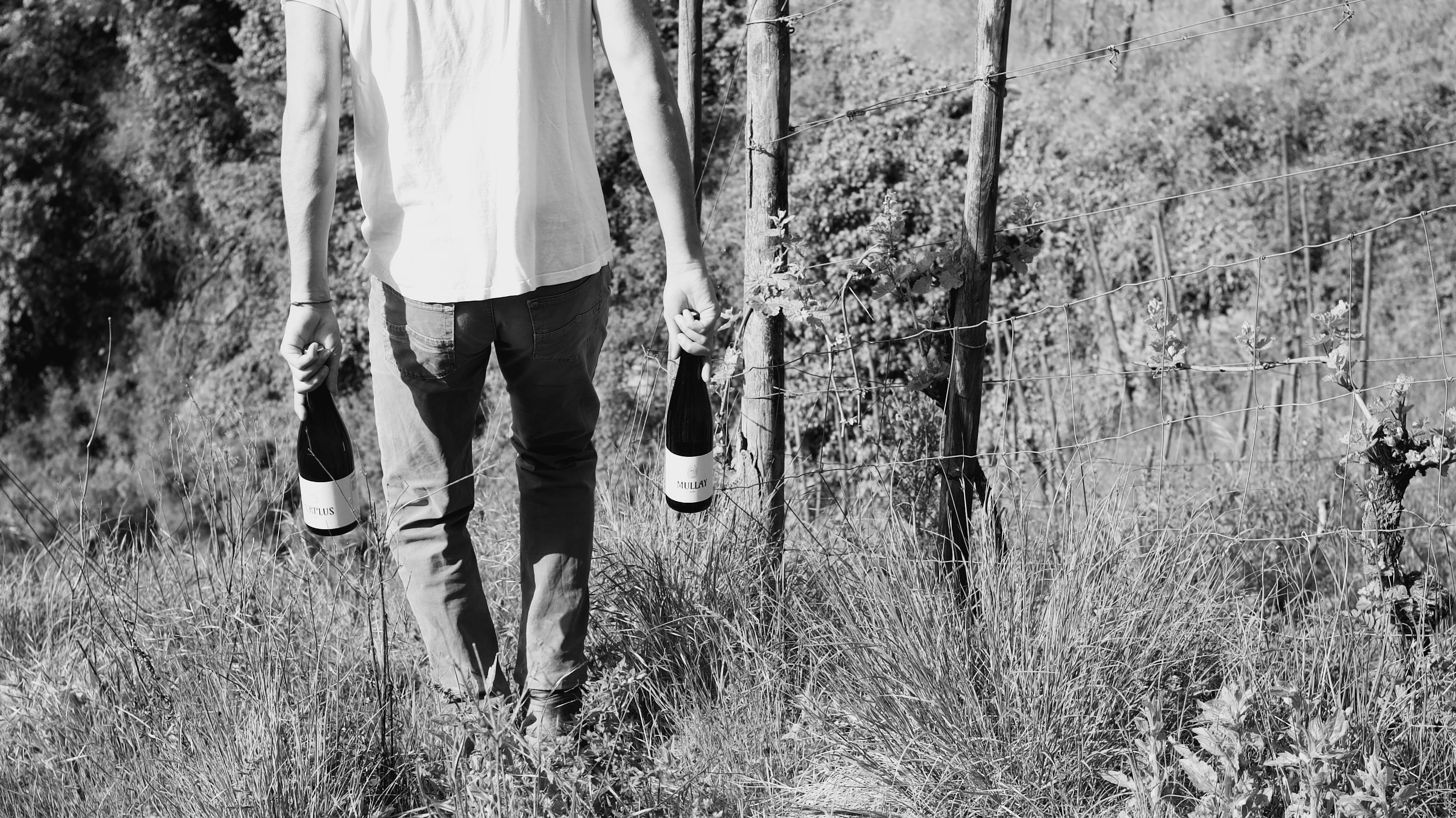 Weinberg mit Winzer bei der Arbeit und Flaschen Bio-Wein
