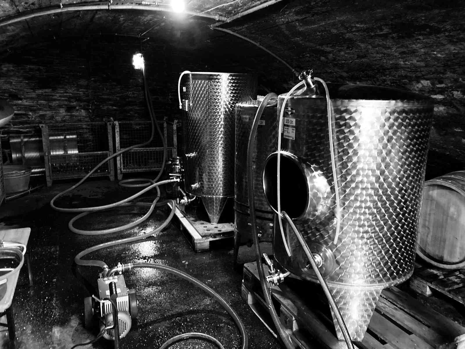Arbeit im Weinberg und Keller des Weinguts