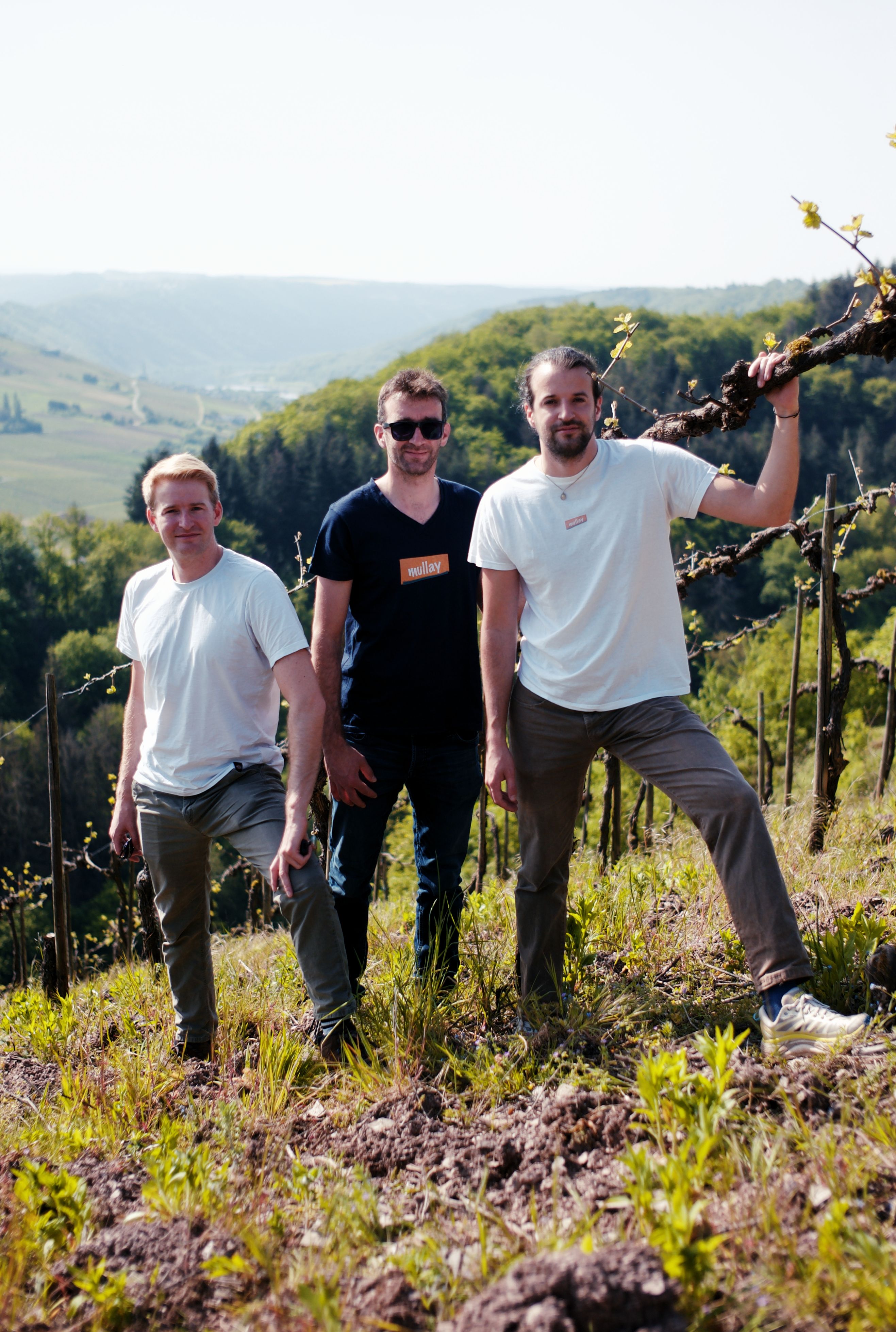 Wein kaufen direkt vom Winzer: Bio-Riesling aus nachhaltigem Anbau an der Mosel